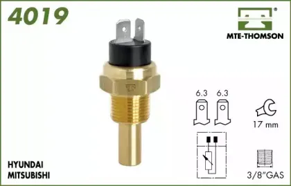 mtethomson-4019