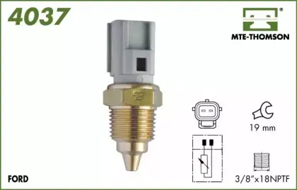 mtethomson-4037
