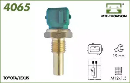 mtethomson-4065