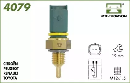 mtethomson-4079