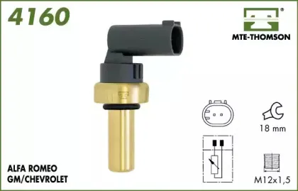 mtethomson-4160