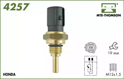 mtethomson-4257