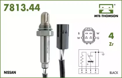 mtethomson-781344027