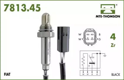 mtethomson-781345021