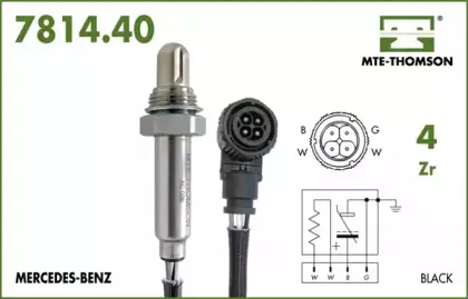 mtethomson-781440037