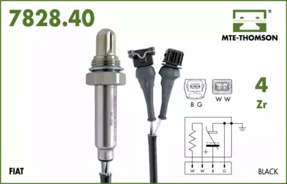 mtethomson-782840088