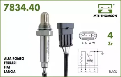 mtethomson-783440046