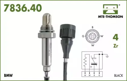 mtethomson-783640150
