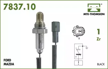 mtethomson-783710055