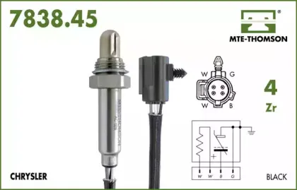 mtethomson-783845052