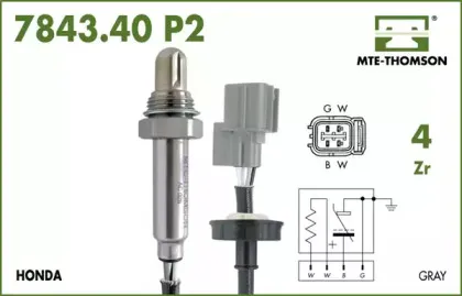 mtethomson-784340050p2
