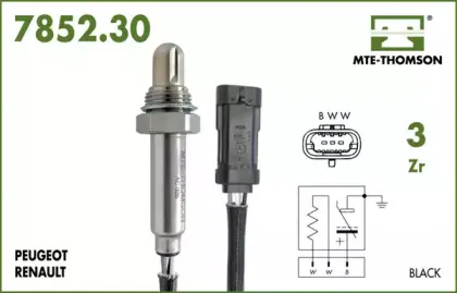mtethomson-785230045