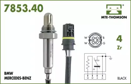 mtethomson-785340045