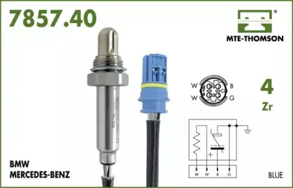 mtethomson-785740045