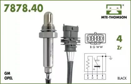 mtethomson-787840057