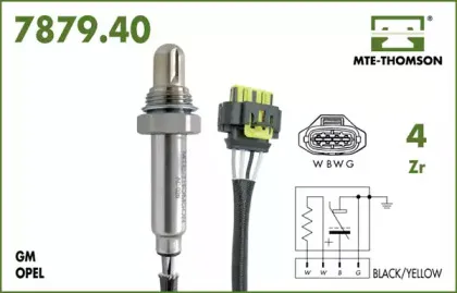 mtethomson-787940112
