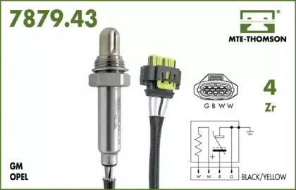 mtethomson-787943057