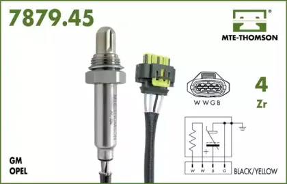 mtethomson-787945045