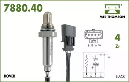 mtethomson-788040052