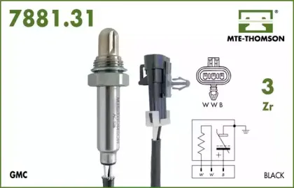 mtethomson-788131031