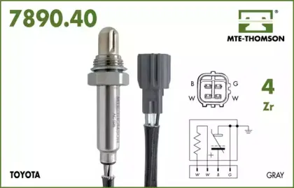 mtethomson-789040055