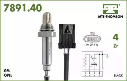 mtethomson-789140087