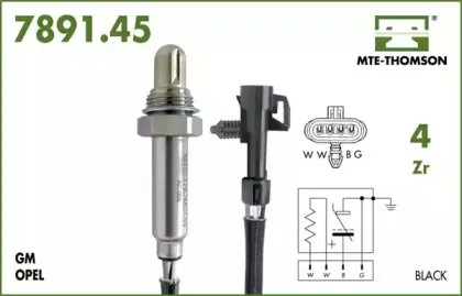 mtethomson-789145083