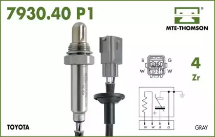 mtethomson-793040050p1