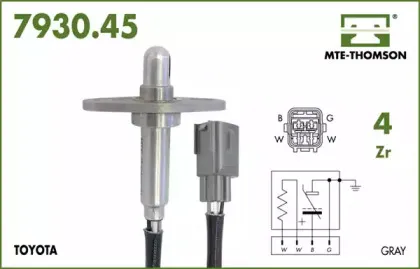 mtethomson-793045032