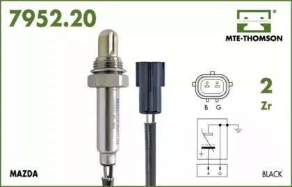 mtethomson-795220030