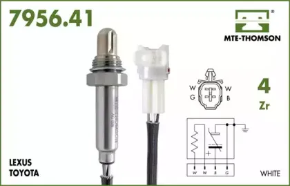 mtethomson-795641050