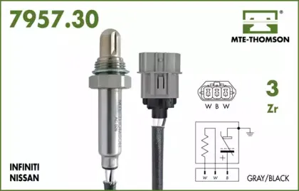 mtethomson-795730033