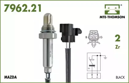 mtethomson-796221111