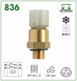 mtethomson-836