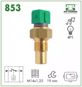 mtethomson-853