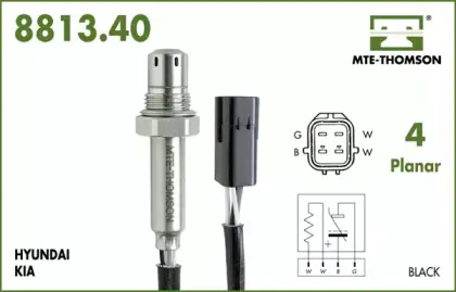 mtethomson-782140095