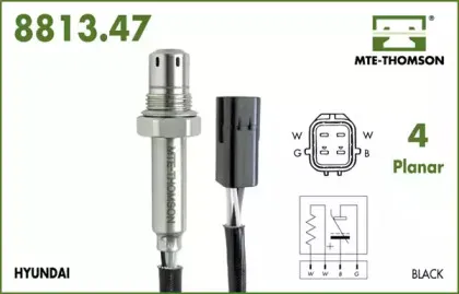 mtethomson-881347022