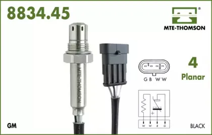 mtethomson-883445040