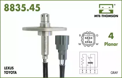 mtethomson-883545046