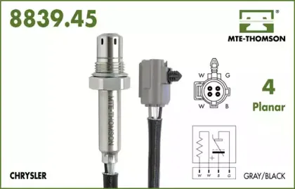 mtethomson-883945039