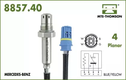 mtethomson-885740057