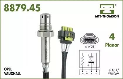 mtethomson-887945045
