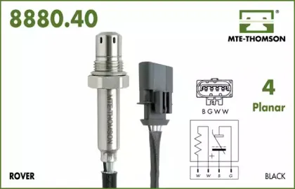 mtethomson-888040054