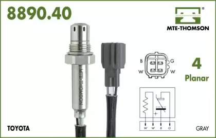 mtethomson-889040046