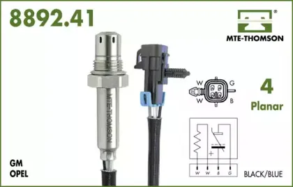 mtethomson-889241037