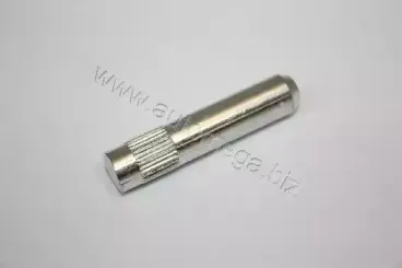 100008410 AUTOMEGA Дверной шарнир