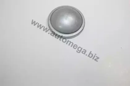 110010910 AUTOMEGA Предохранительная крышка, ступица колеса
