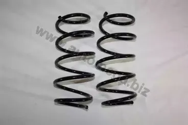 110163810 AUTOMEGA Пружина ходовой части