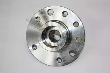 110167210 AUTOMEGA Ступица колеса