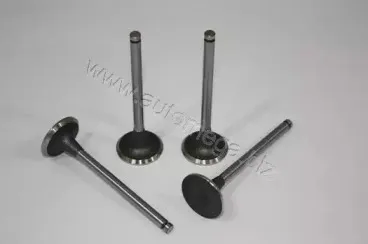 130106810 AUTOMEGA Впускной клапан